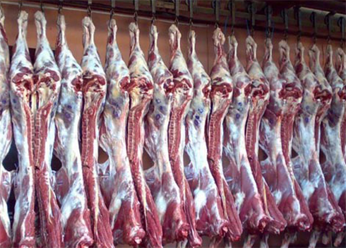 牛肉冷凍庫建造 牛肉冷凍庫建造