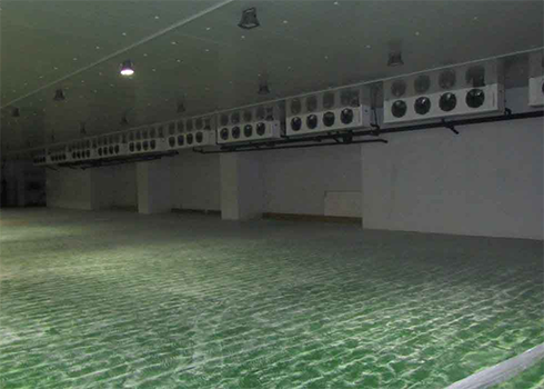 物流低溫冷藏庫(kù)建造安裝 物流低溫冷藏庫(kù)建造安裝