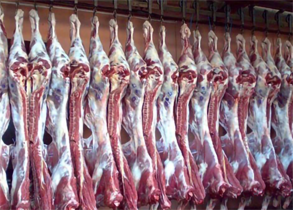 牛肉冷庫建造溫濕度需求 牛肉冷庫建造溫濕度需求