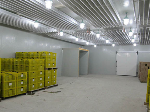 水果冷庫建設(shè)特點 水果冷庫建設(shè)特點