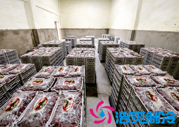 果蔬保鮮冷庫安裝造價(jià)需要多少錢？_浩爽制冷