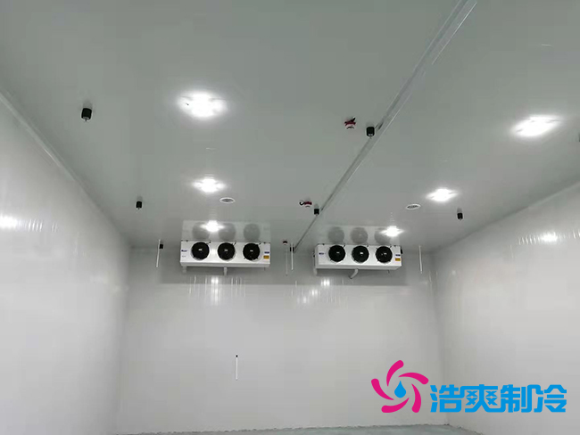 超低溫凍庫(kù)建設(shè)價(jià)格與哪些因素有關(guān)？_浩爽制冷