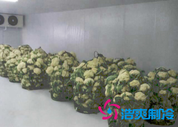 云南500平米氣調(diào)冷庫安裝造價大概是多少？_浩爽制冷