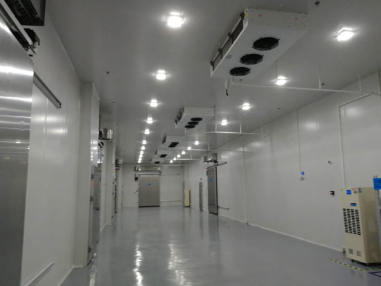 100平方米冷庫建造成本多少錢？