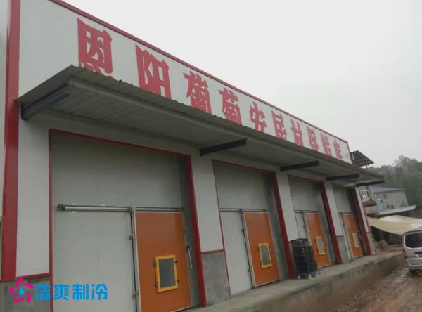 巴中葡萄種植合作社氣調(diào)保鮮冷庫建造 巴中葡萄種植合作社氣調(diào)保鮮冷庫建造