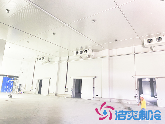 海南建造一個(gè)冷庫需要多少錢？_浩爽制冷