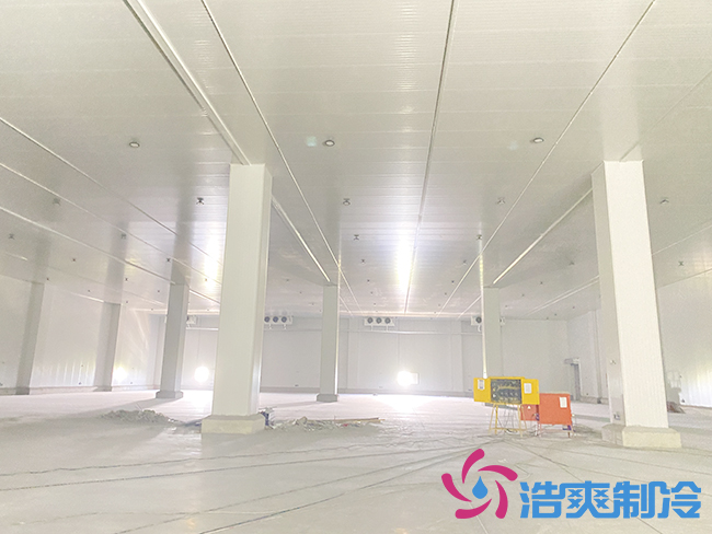新建100噸桃子冷庫要多少錢？_浩爽制冷