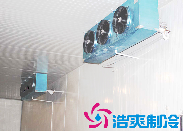 花店建一個鮮花冷庫需要多少錢？_浩爽制冷