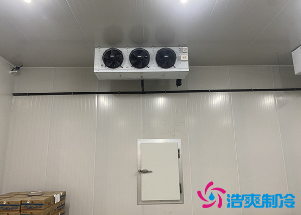 大型農(nóng)產(chǎn)品物流園冷庫建設(shè)多少錢一平方合適？-浩爽制冷