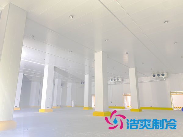 浙江肉類速凍庫建造大概多少錢？-浩爽制冷