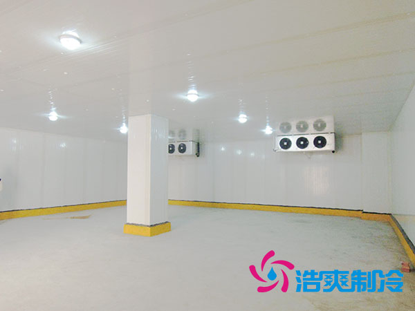佛山冰淇淋冷庫(kù)價(jià)格多少錢？-浩爽制冷
