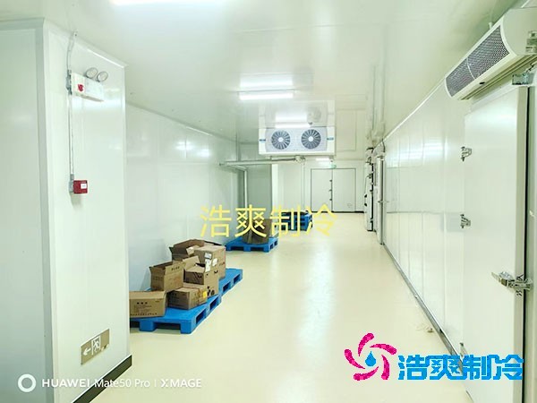 荔枝冷庫(kù)安裝價(jià)格多少錢(qián)一平方米？荔枝冷庫(kù)可以放多久-浩爽制冷
